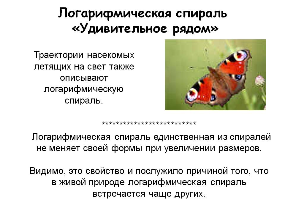 Траектории насекомых