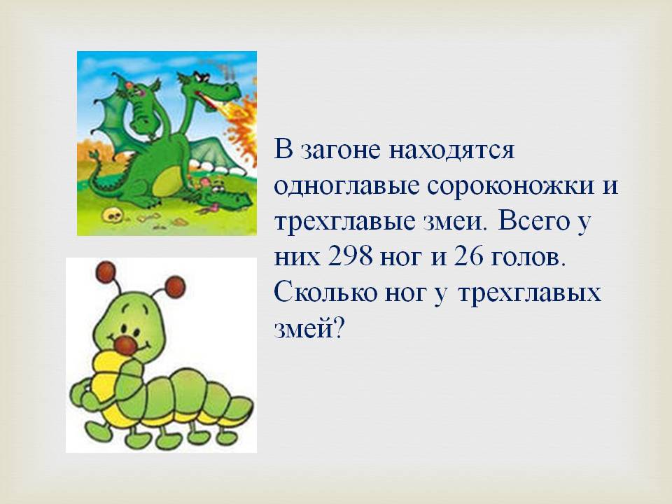 Одноглавые сороконожки