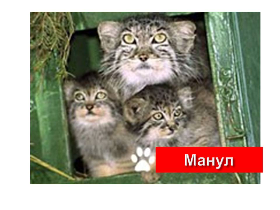 Графическое решение уравнений и неравенств