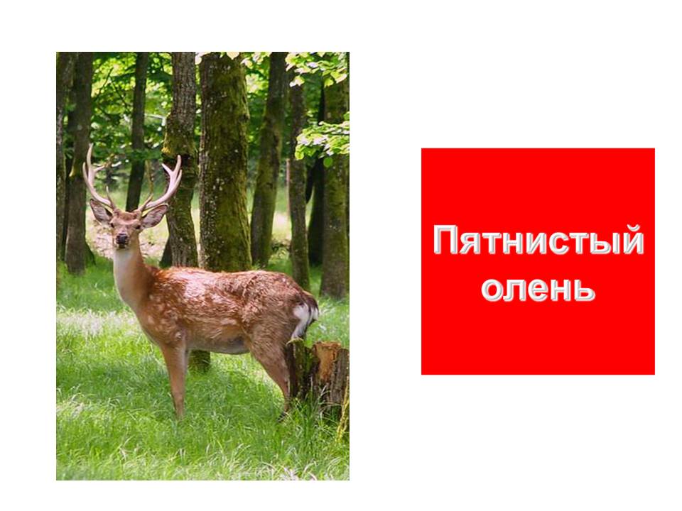 Графическое решение уравнений и неравенств