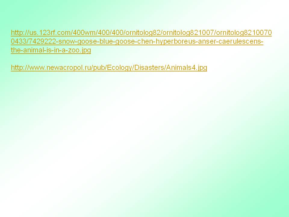 Http://us