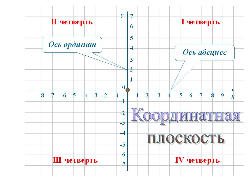 Координатная плоскость