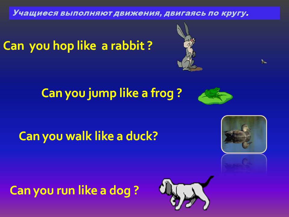 Rabbit