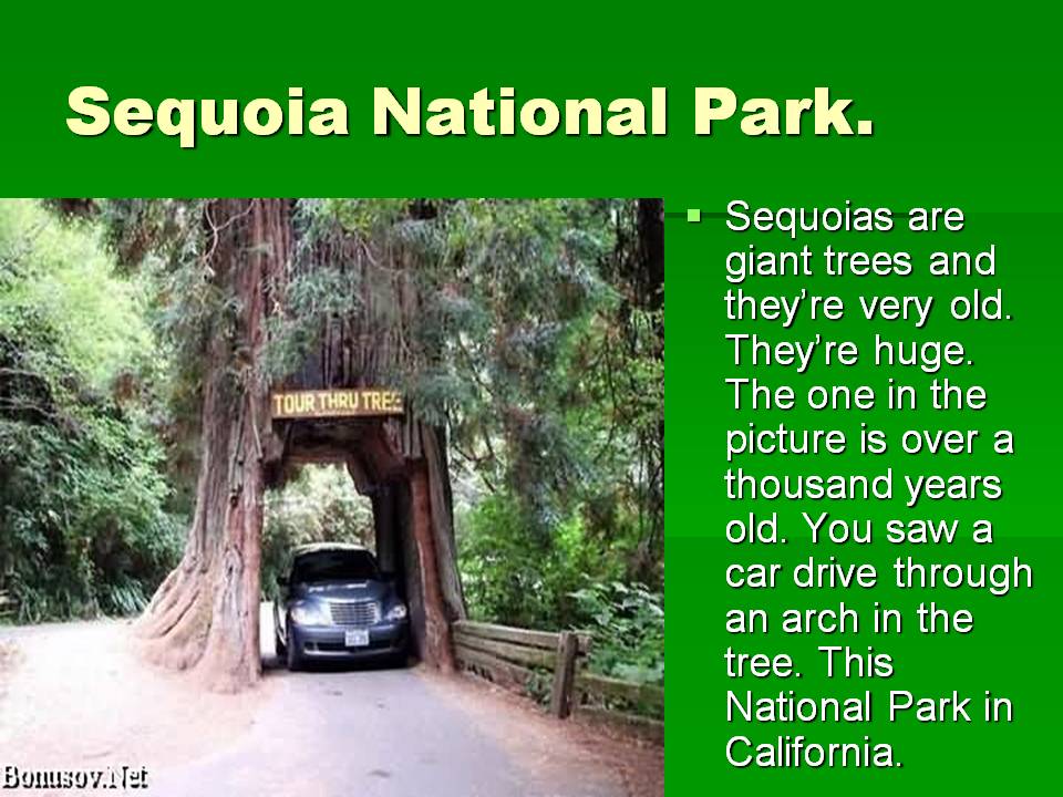 Sequoia National Park