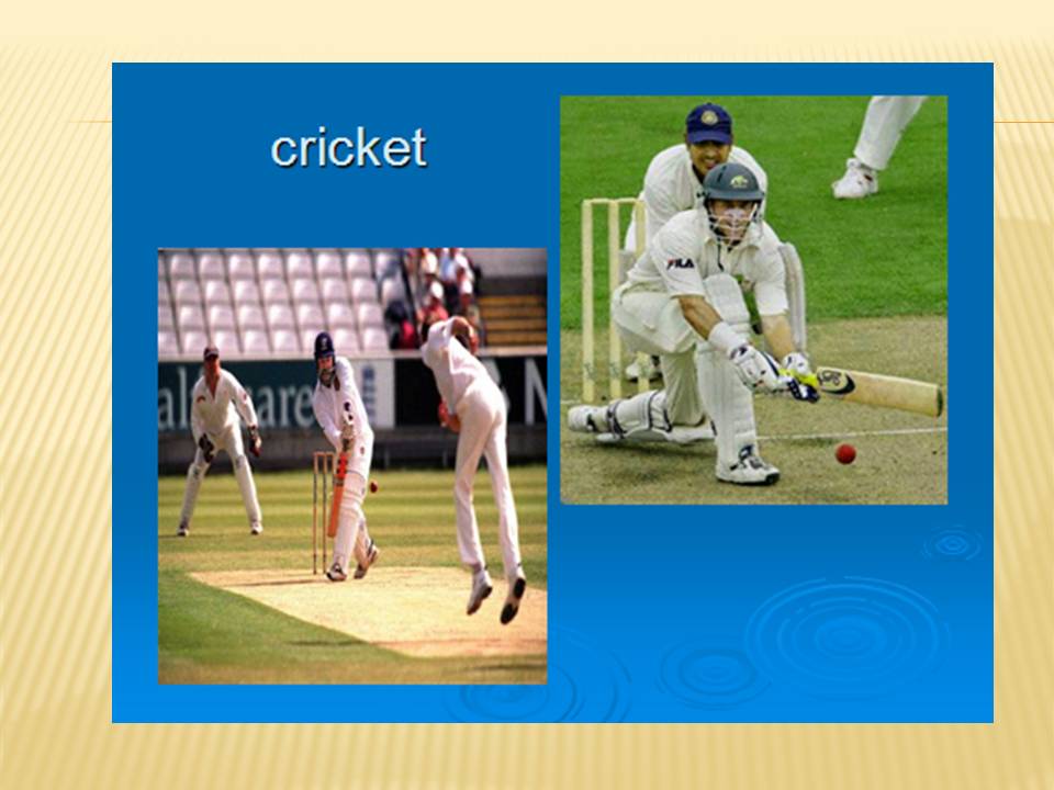 Kinds of sports