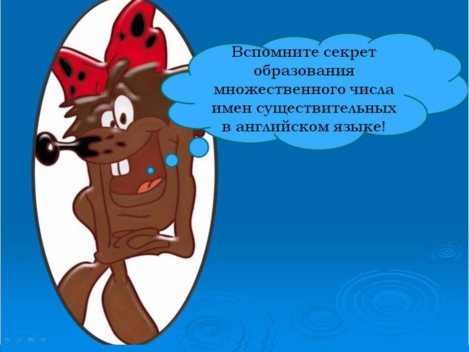 Множественное число существительных в английском