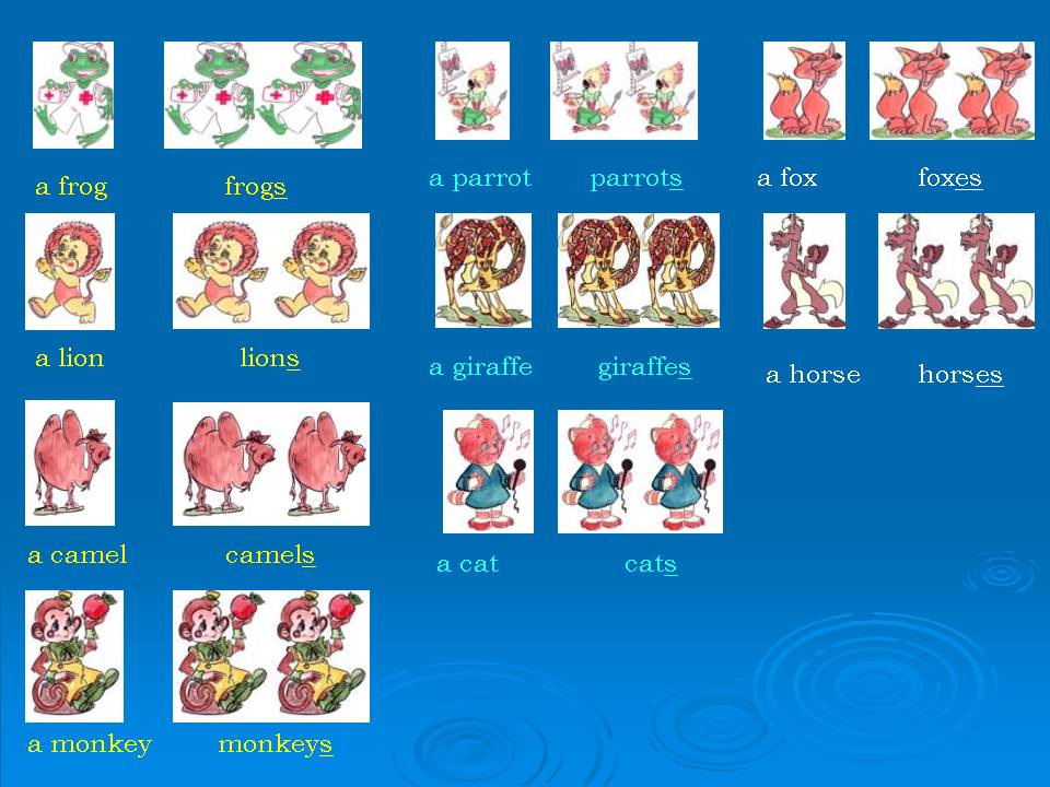 a parrot parrots
