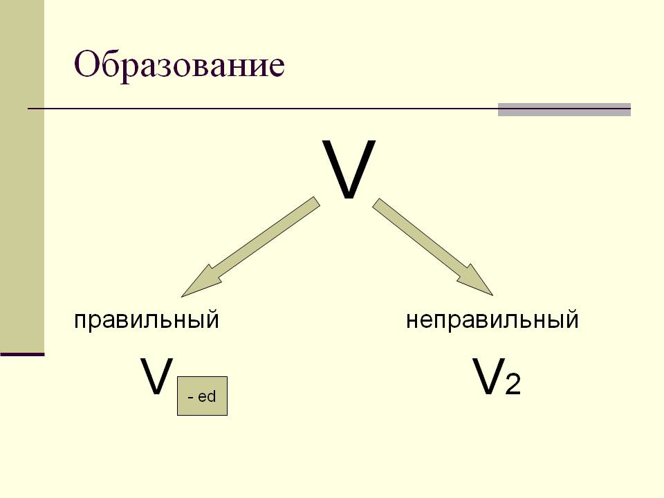 Образование
