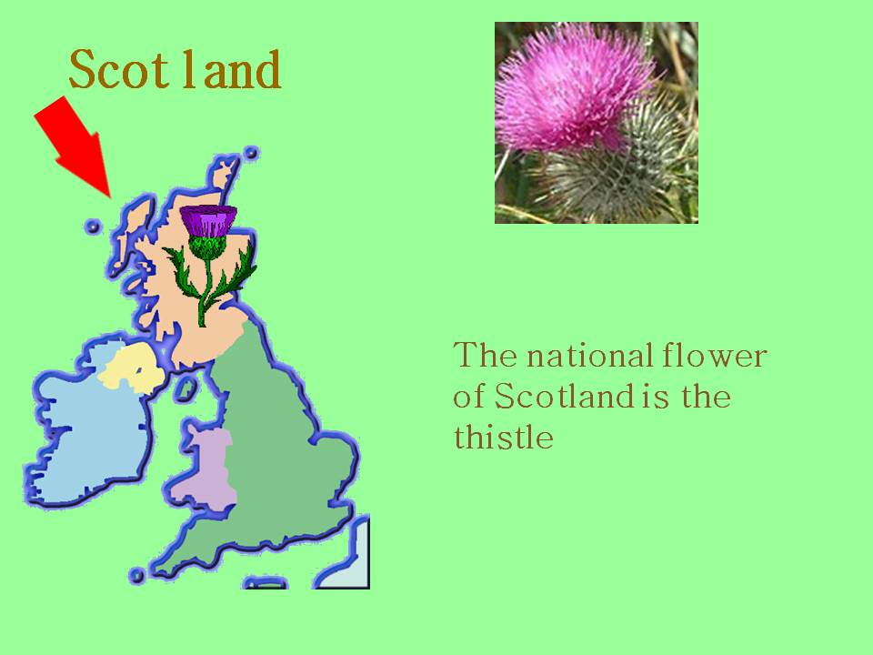 Scotland