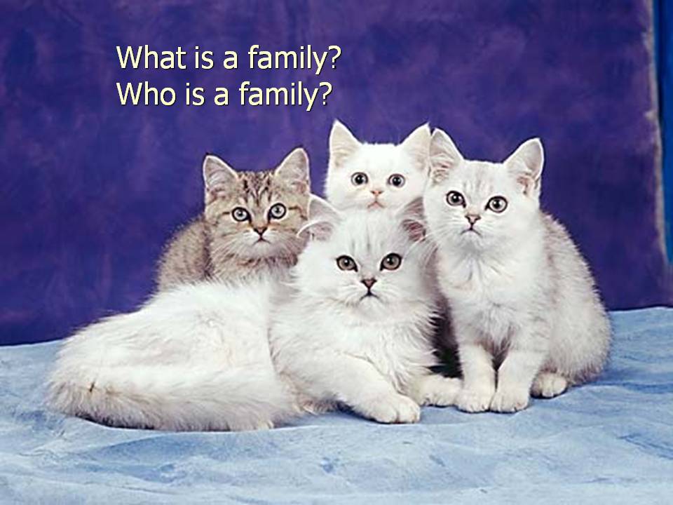 Who is a family