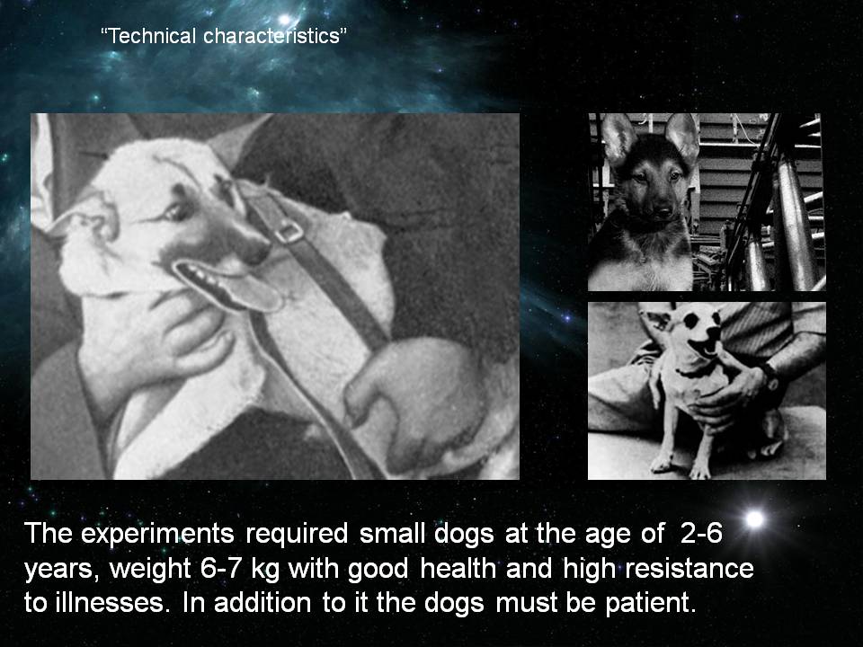 “Technical characteristics”