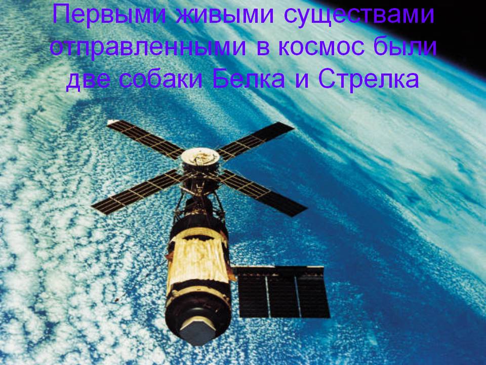 Белка и Стрелка