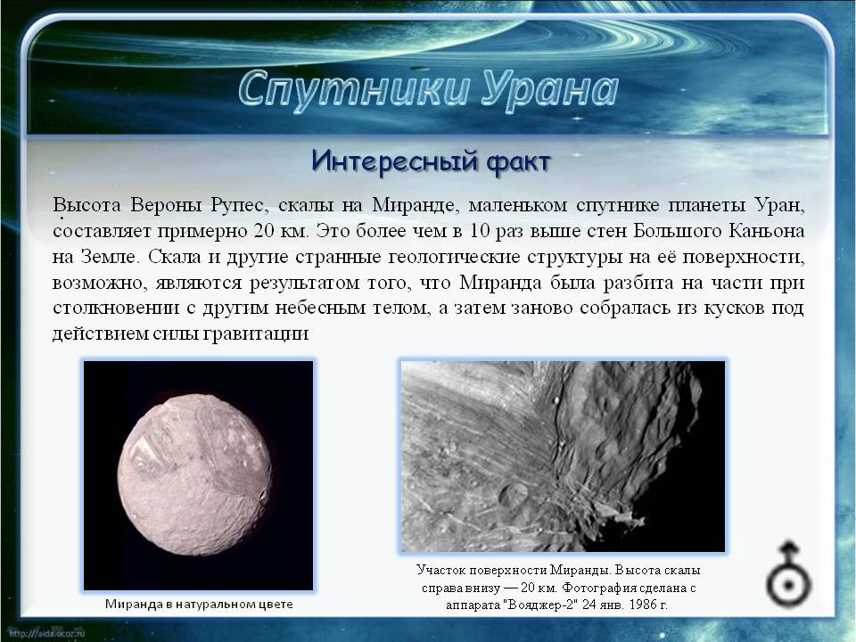 Интересный факт
