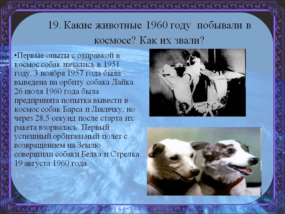 Опыты с отправкой в космос собак