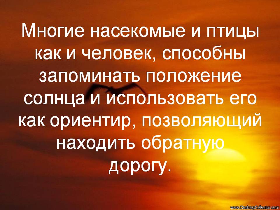 Положение Солнца