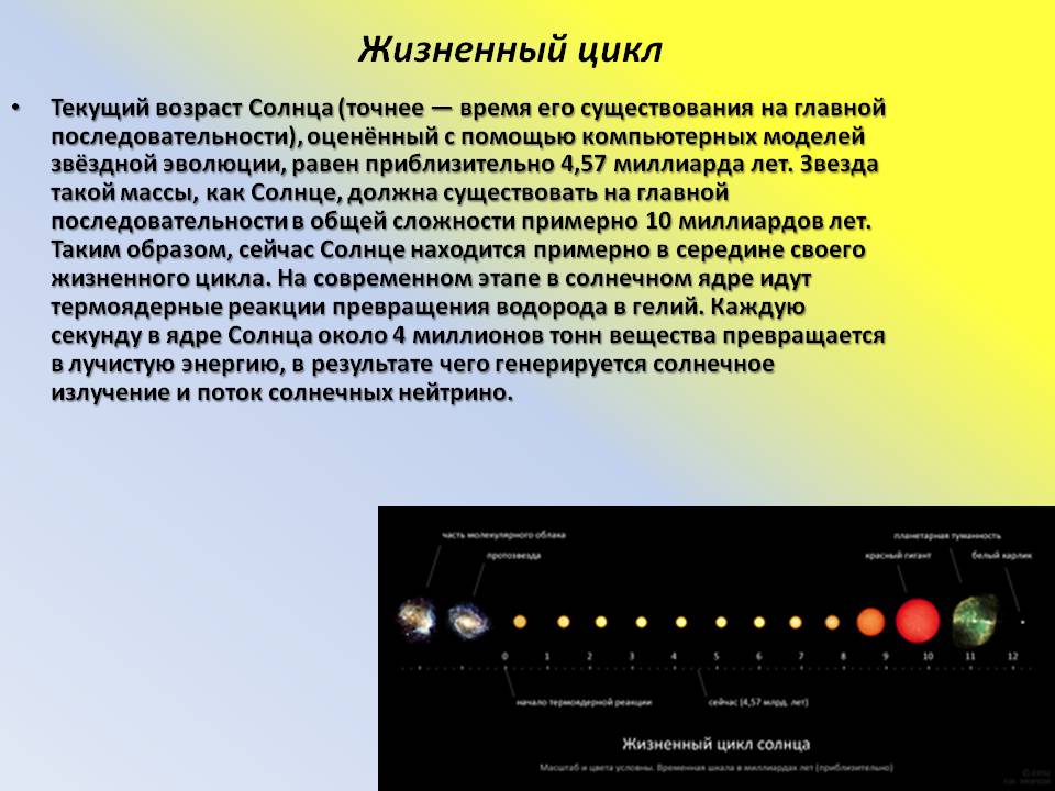 Жизненный цикл
