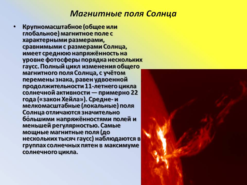 Магнитные поля Солнца