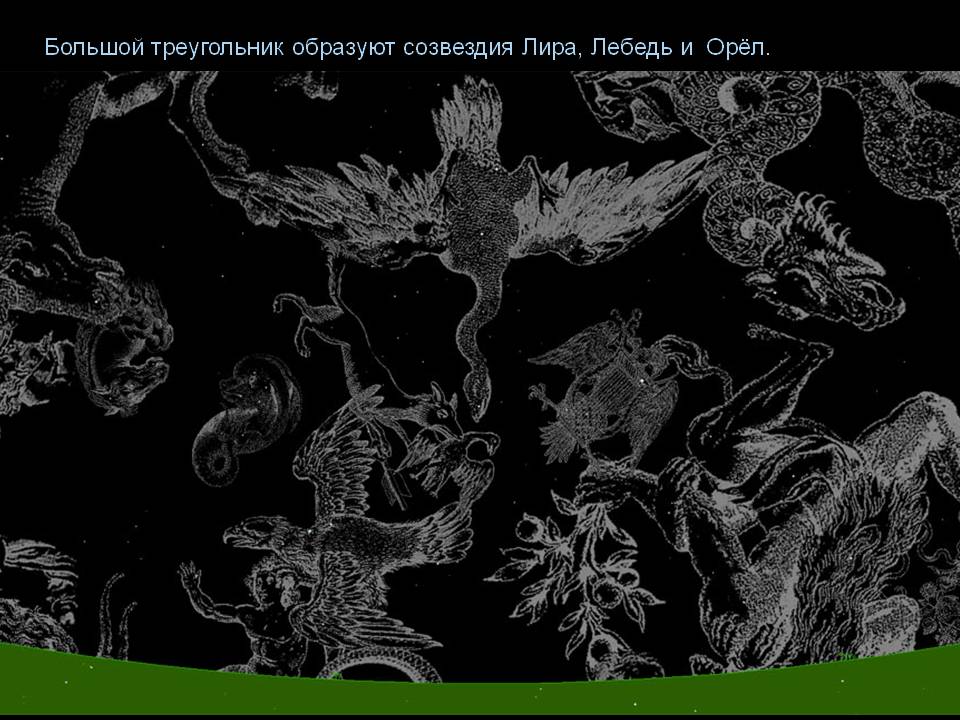Большой треугольник образуют созвездия Лира, Лебедь и Орёл