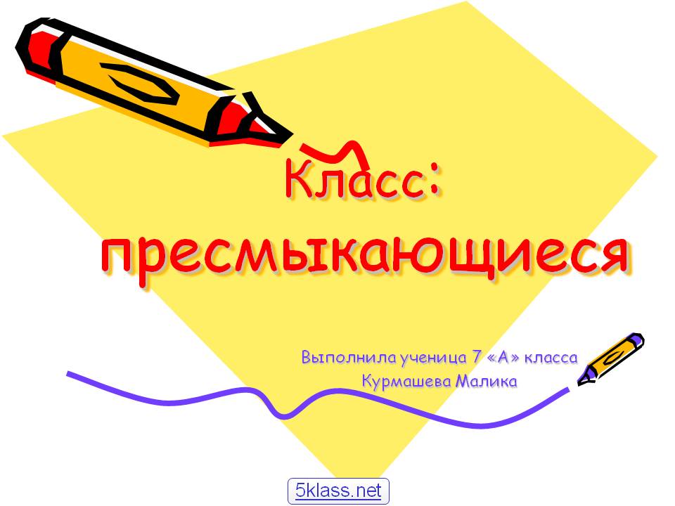 Класс: пресмыкающиеся