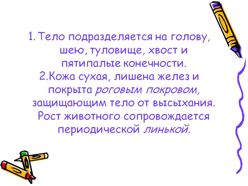 Тело подразделяется на голову, шею, туловище, хвост и пятипалые