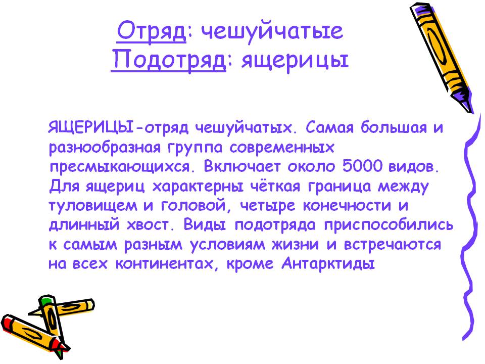 Отряд: чешуйчатые Подотряд: ящерицы