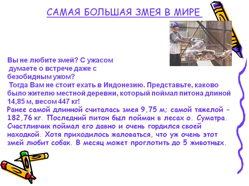 Самая большая змея в мире