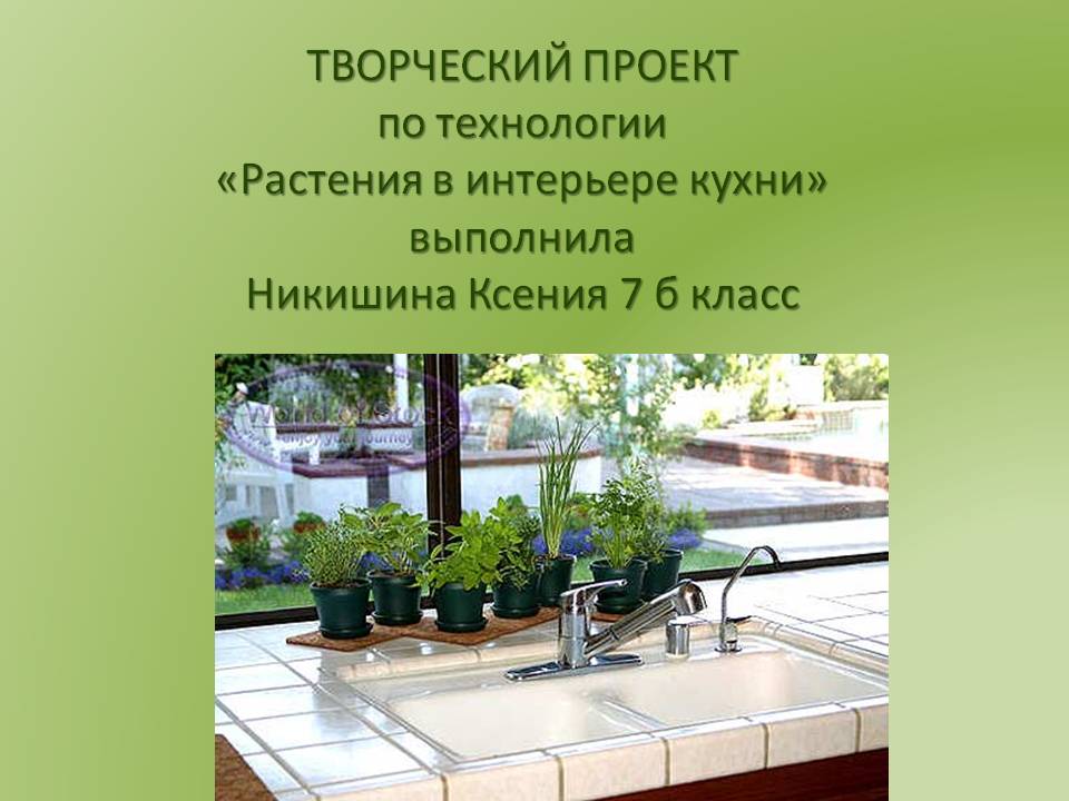 Растения в интерьере кухни