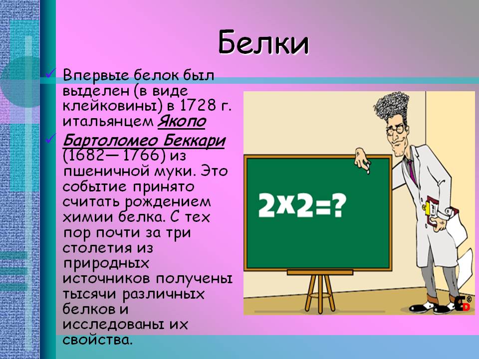 Белки