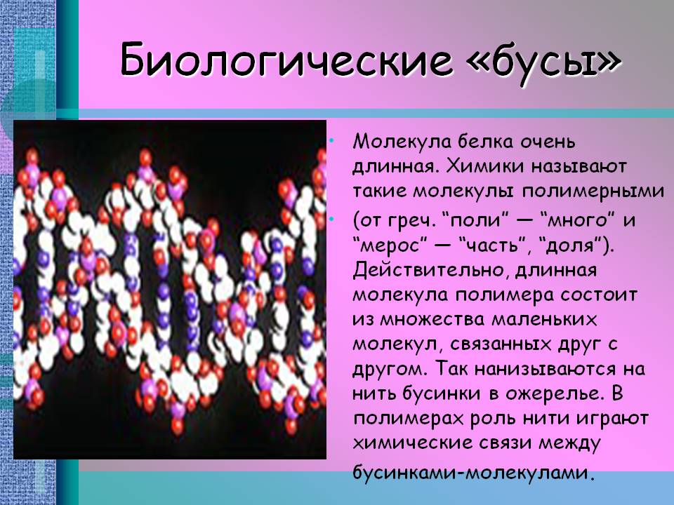 Биологические «бусы»