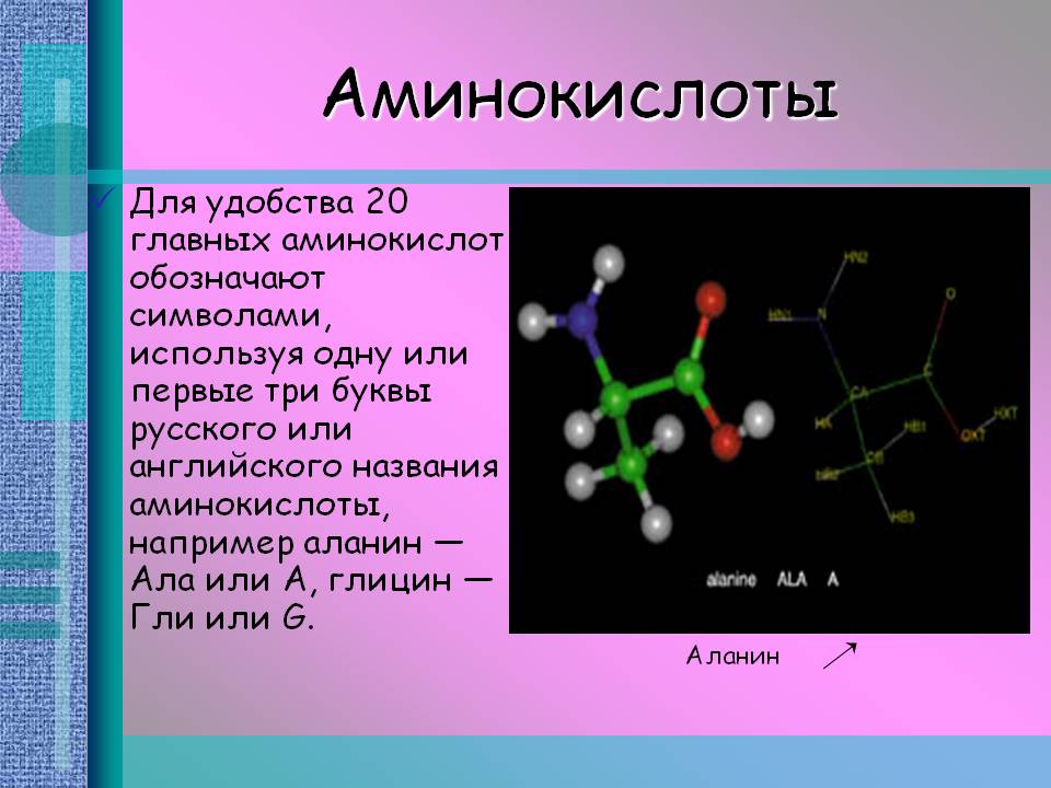 Аминокислоты