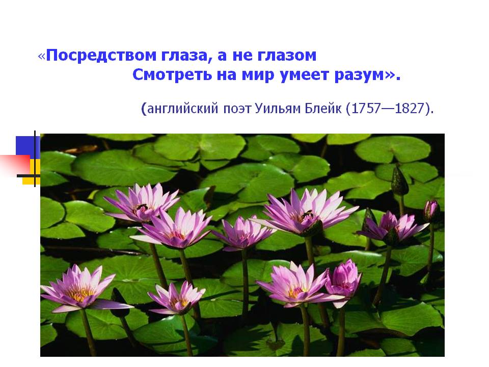 Смотреть на мир умеет разум