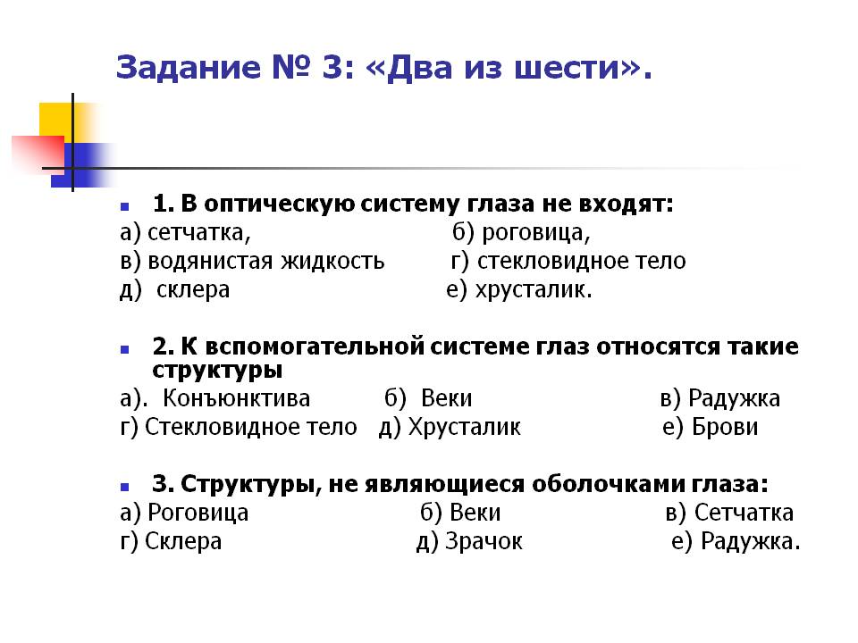 Сетчатка