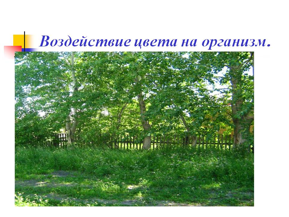 Воздействие цвета на организм