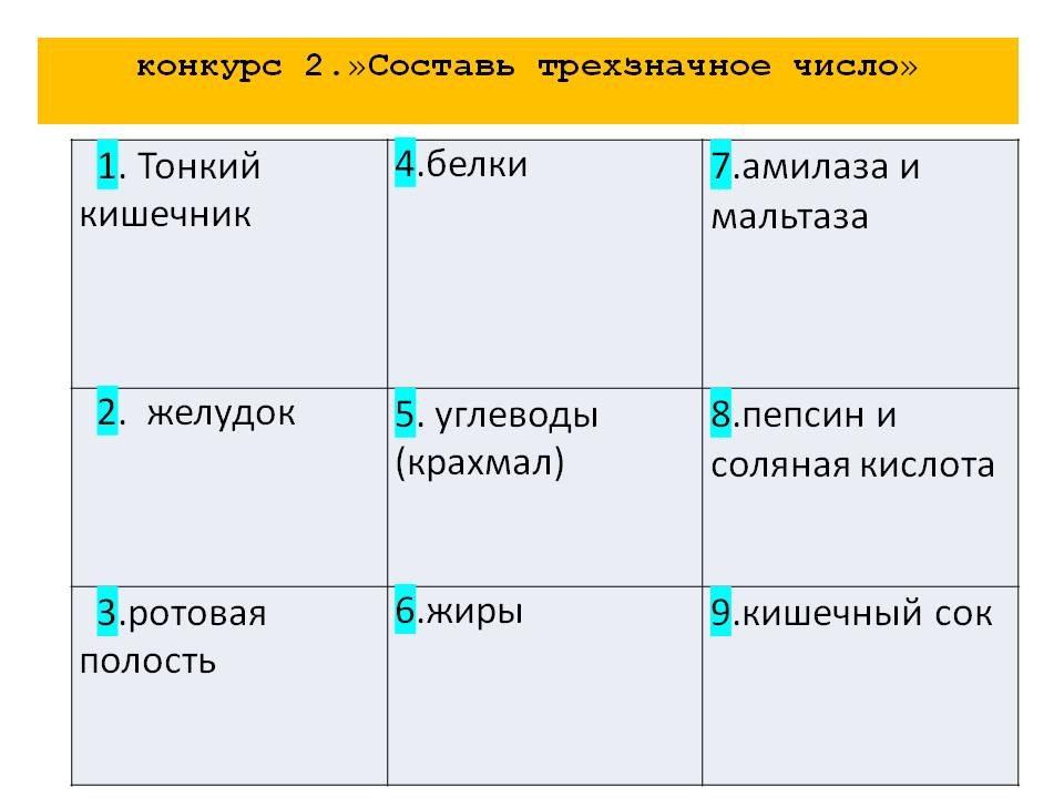 Тонкий кишечник