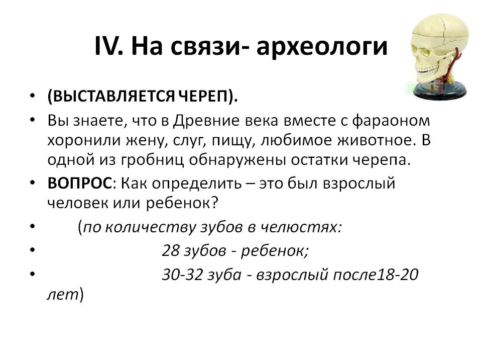 Археологи