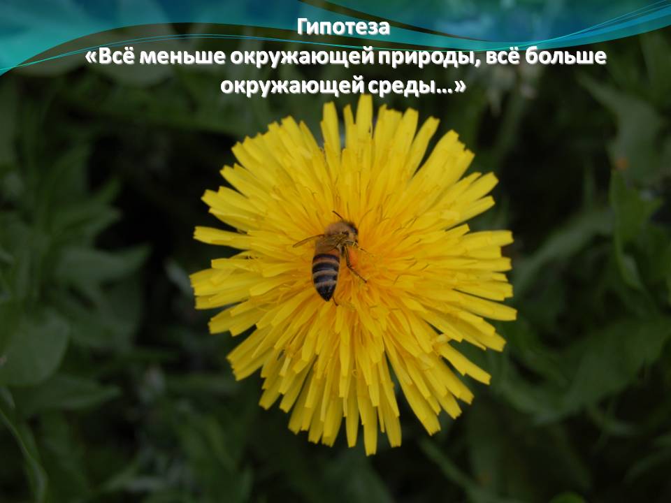 Гипотеза «Всё меньше окружающей природы, всё больше окружающей среды…»