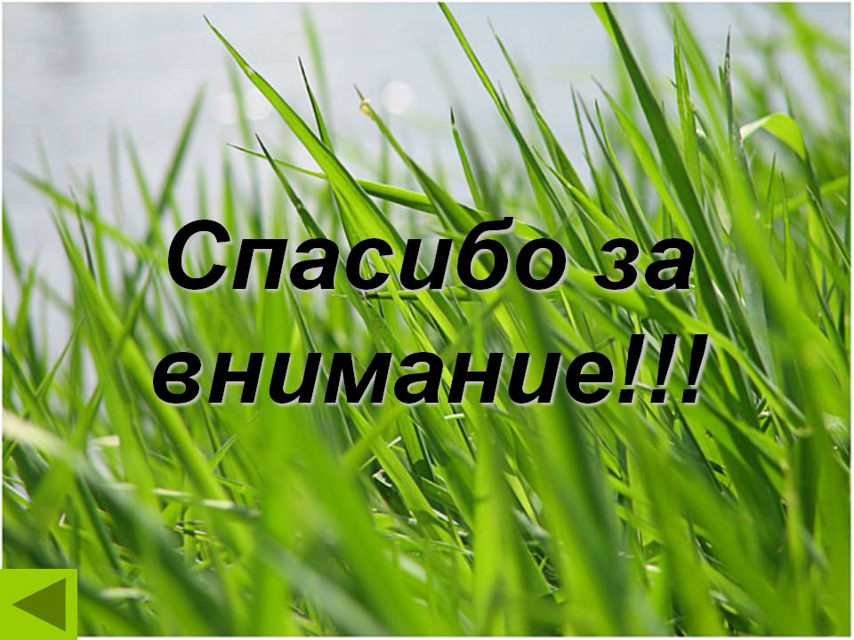 Спасибо за внимание