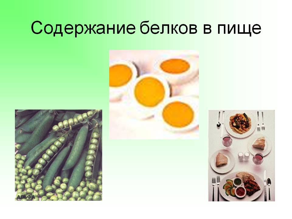 Содержание белков в пище