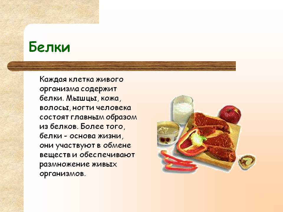 Белки
