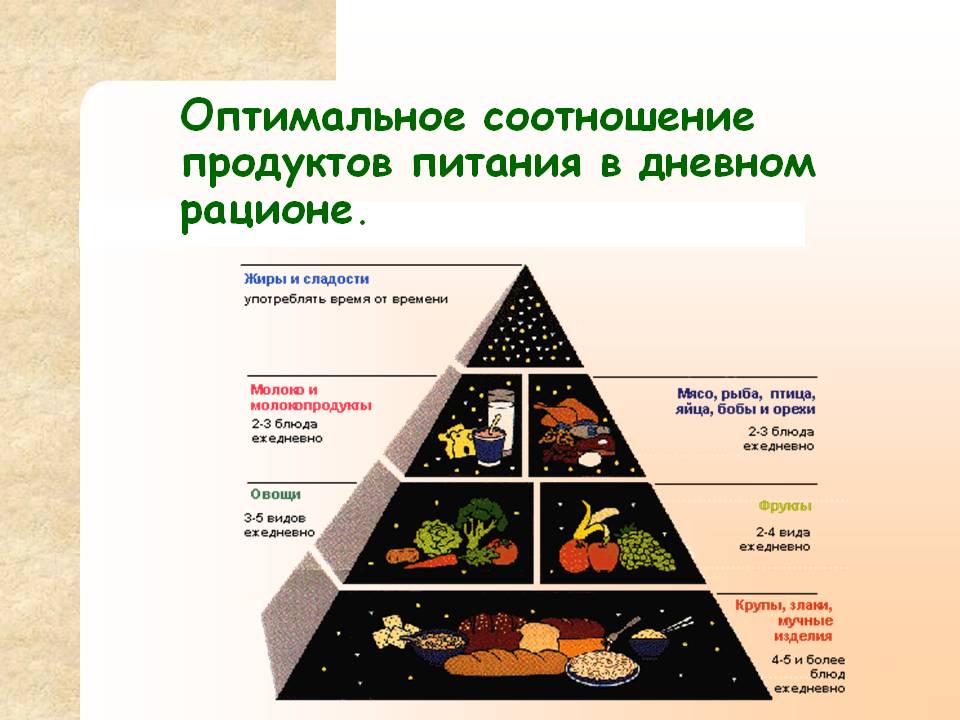 Оптимальное соотношение продуктов питания в дневном рационе