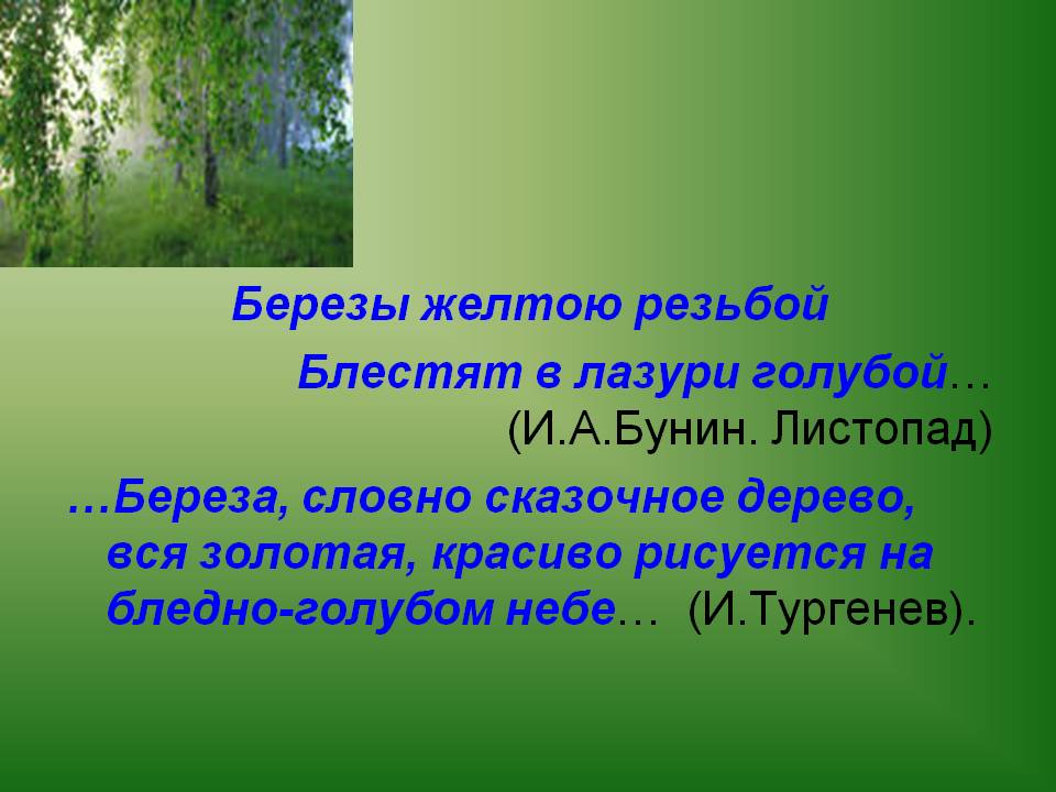 Березы желтою резьбой блестят в лазури голубой