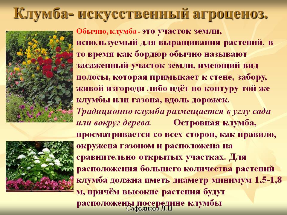 Клумба- искусственный агроценоз