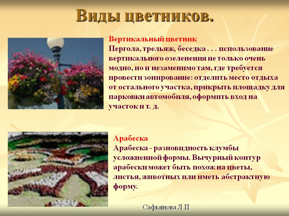 Виды цветников