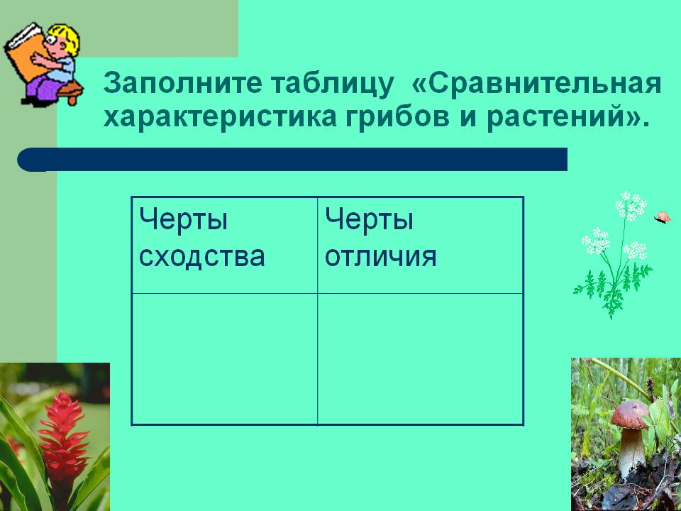 Заполните таблицу «Сравнительная характеристика грибов и растений»