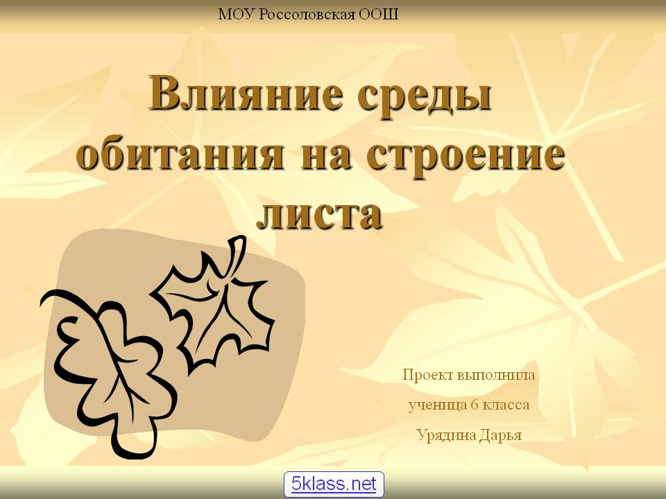Влияние среды обитания на строение листа