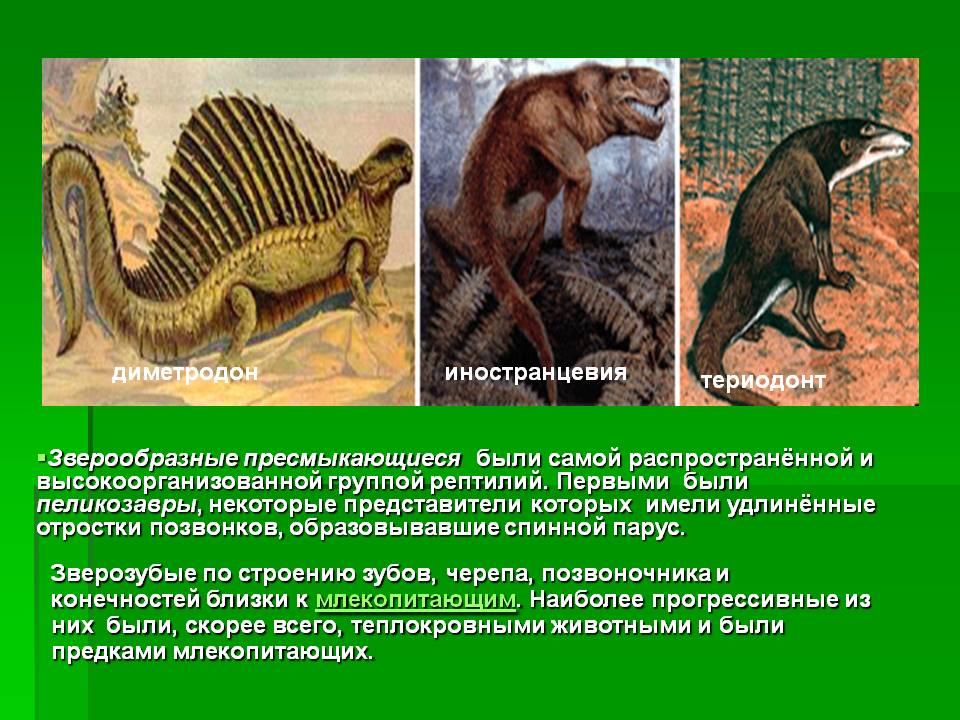 Диметродон
