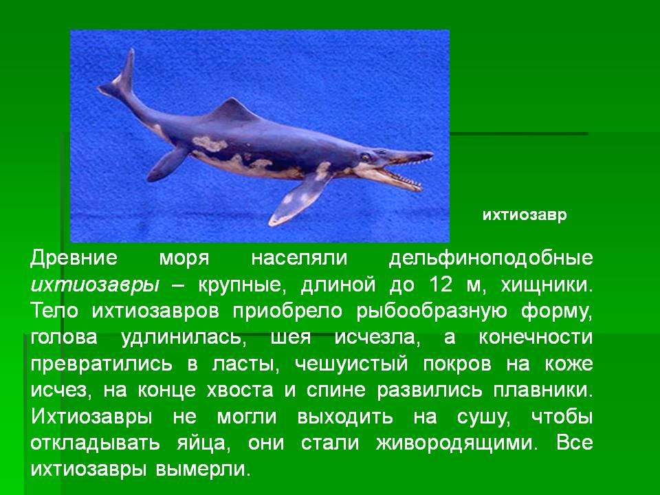 Древние моря населяли дельфиноподобные ихтиозавры – крупные, длиной до