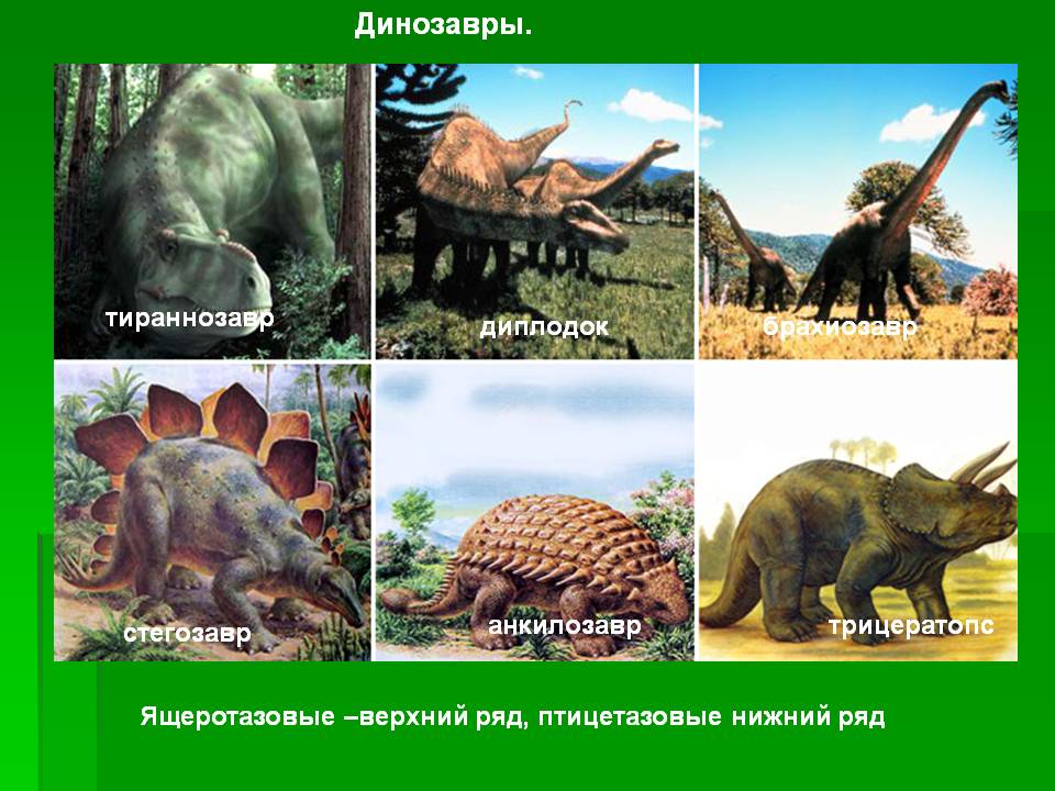 Динозавры