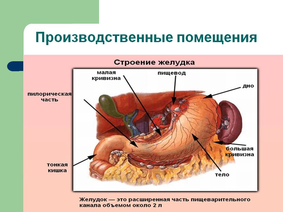 Производственные помещения