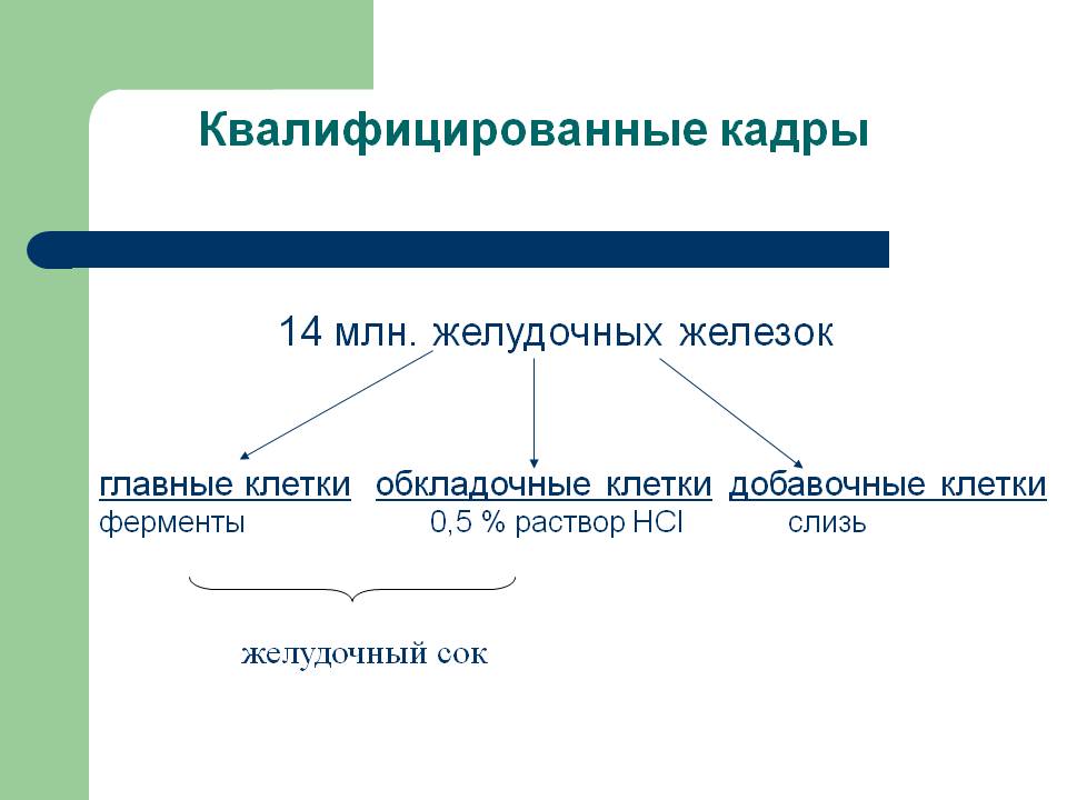 Квалифицированные кадры